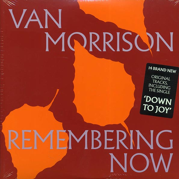 Van Morrison - Remembering Now