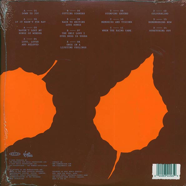 Van Morrison - Remembering Now